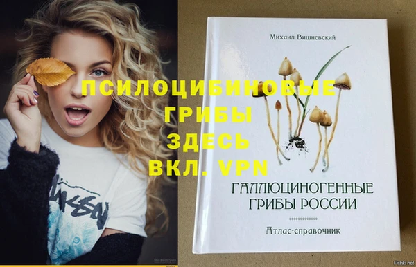стафф Строитель