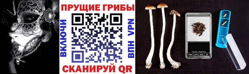 где найти наркотики  Бутурлиновка  Псилоцибиновые грибы мухоморы 
