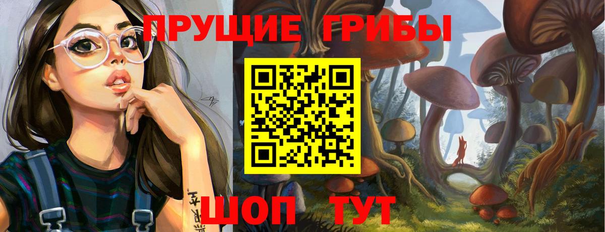 Галлюциногенные грибы Psilocybe  Вход с VPN  Бутурлиновка 